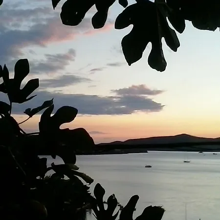 Apartmarin Trogir Room photo
