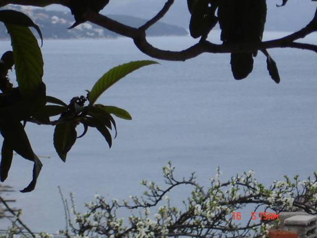 Apartmarin Apartment Trogir