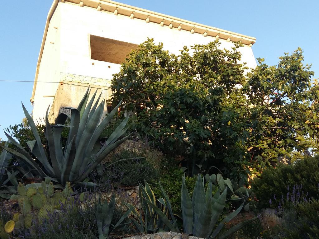Apartmarin