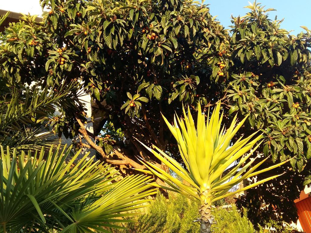 Apartmarin Trogir
