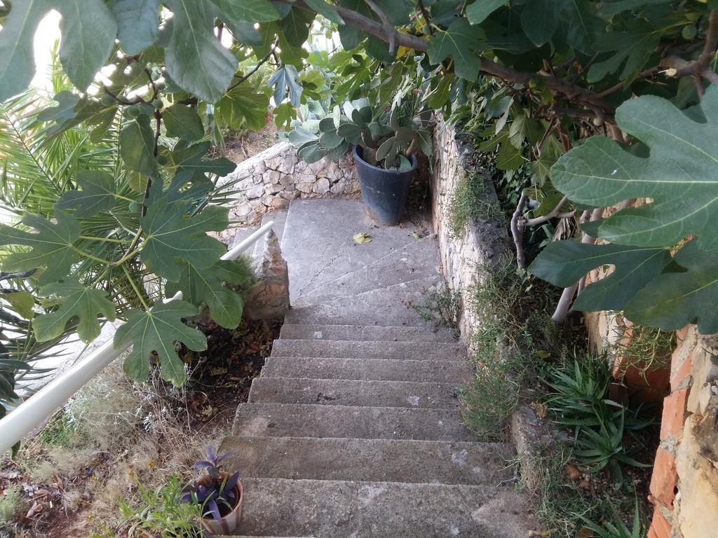 Apartmarin Trogir